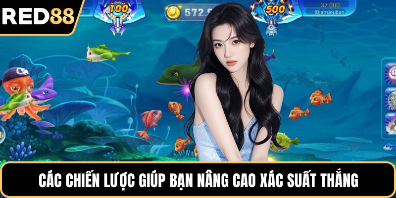 Các chiến lược giúp bạn nâng cao xác suất thắng