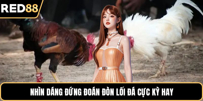 Nhìn dáng đứng đoán đòn lối đá cực kỳ hay